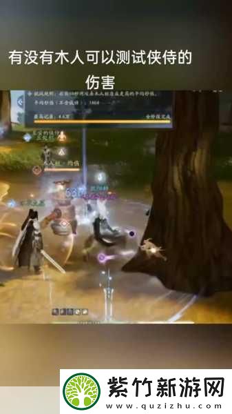 射雕手游侠侍跟随全攻略