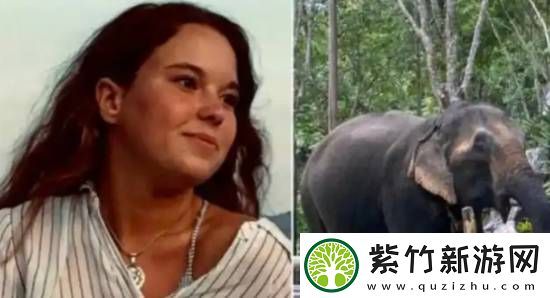 游客在泰国与大象互动意外身亡