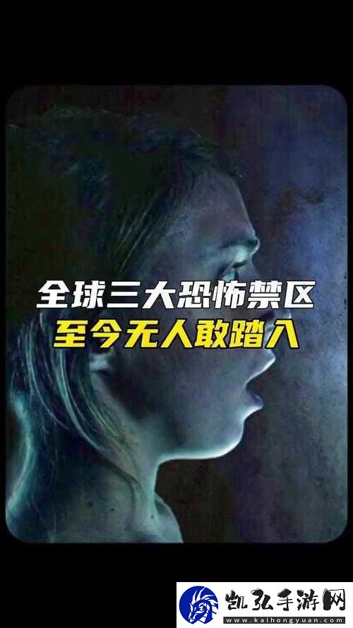 什么是
