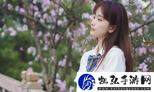 免费站在线观看人数最多的省份有哪些