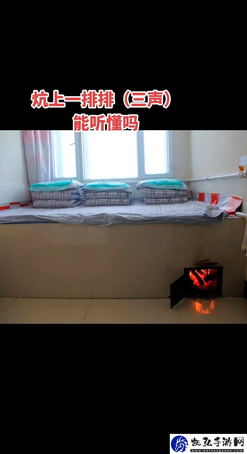 大炕上的肉伦第二部
