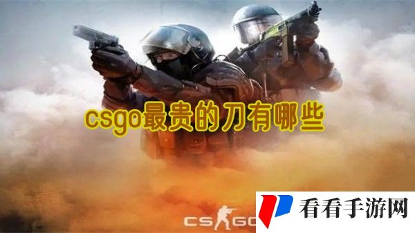 《csgo》最贵的刀有哪些