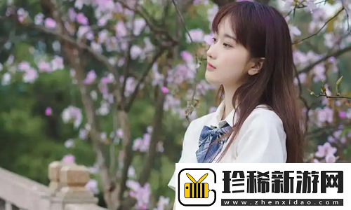 少女たちよ在线观看动漫游戏免费：一款让你沉浸在动漫与游戏融合的奇妙世界！