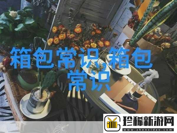 B站推广站1.＂探索B站：发现你的新兴趣与创作灵感