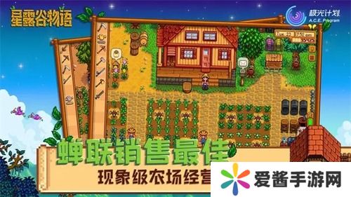 星露谷物语采矿5级选啥好-星露谷物语(采矿篇)5级职业选择建议