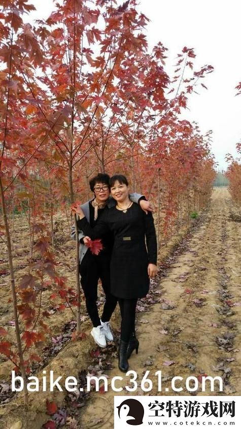 探讨“无敌神马影视影院在线”的独特魅力与观影体验