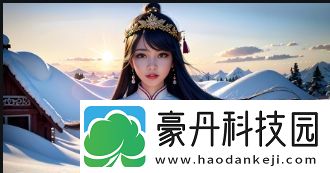 公司办公室特殊待遇大揭秘：为何待遇升级-如何制定全新的五重天级别标准