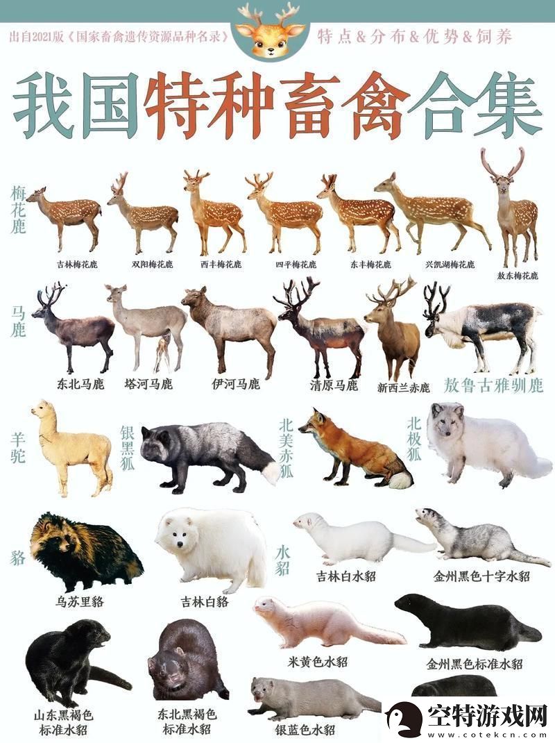 狗日“兽合”奇谭：网友群嘲变奏曲资讯速递