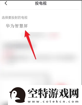 央视频怎么投屏到电视上