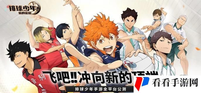 排球少年新的征程乌野低配阵容怎么配