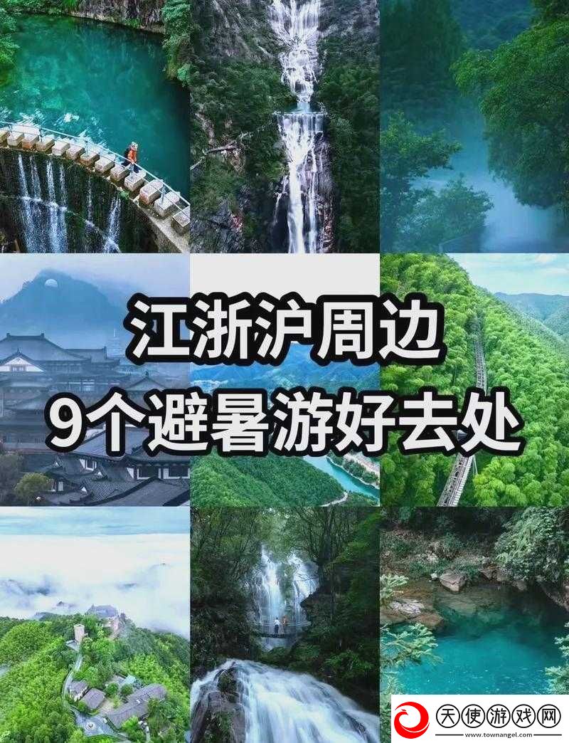 分享伊春园-2024-入口直达大象：奇幻之旅即将开启