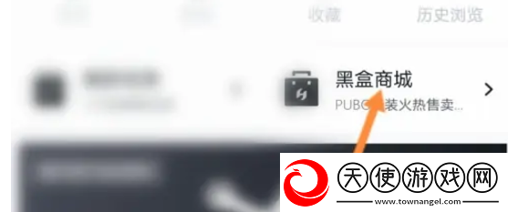 小黑盒购买记录怎么查看