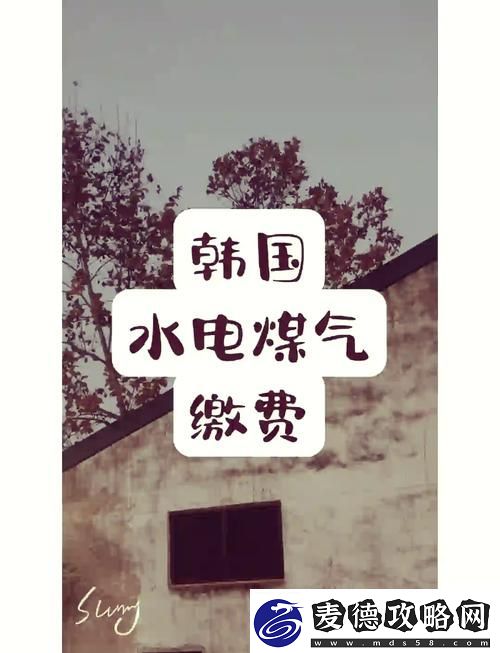探索好看的韩国三色电费背后的设计美学