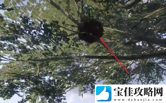 天国拯救2支线任务公平至上图文攻略