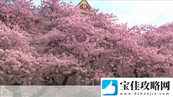 粉色视频免费高清观看3受欢迎程度非常高＂粉色视频：高清视界带你探索无限魅力