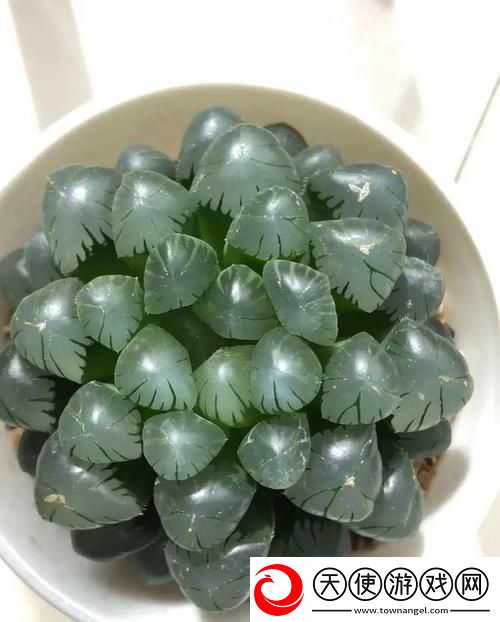游戏界的“玉露春潮”：自嘲式探讨