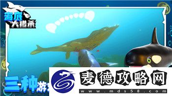 刺客信条奥德赛剧情流程攻略图-探索游戏世界的深度与自由选择