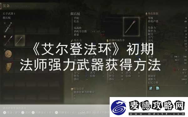 塞尔维斯骨灰选择指南