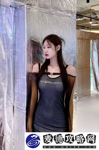 成人永久免费CRM入口：如何助力企业提升客户管理效率与满意度