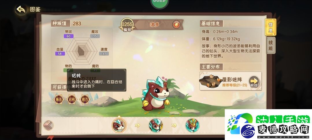 新手宠物选择