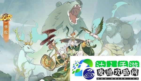群英风华录不同阶段阵容