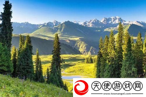 “新疆XLXL-网上热炒-游戏解说界的新疆style！”