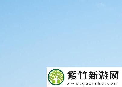 yy4138软件怎么样-如何解决常见问题和优化体验