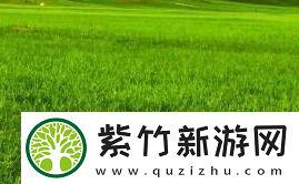 麻豆区蜜芽区怎么区分-详细分析平台特色与购物体验