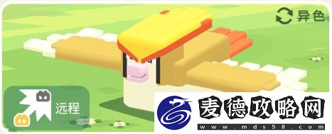 宝可梦大探险大比鸟攻略