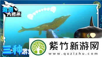 超凡先锋加密箱怎么扩容-详细解析加密箱扩容的有效方法与技巧