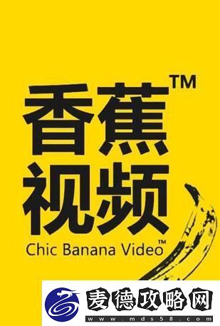 多元化体验今天高清视频免费播放