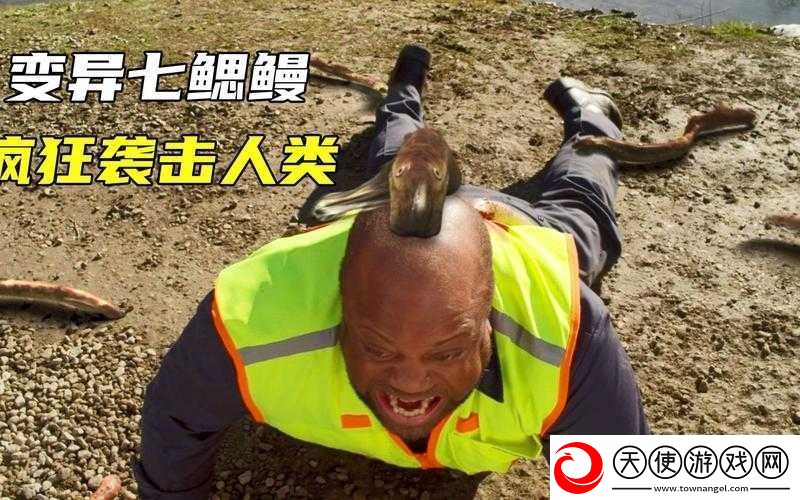 人鳗图片：神秘的生物奇观