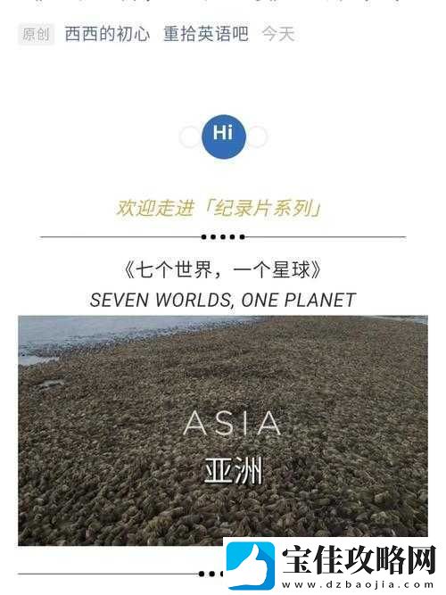 亚欧一二三四专区口：探索未知的世界