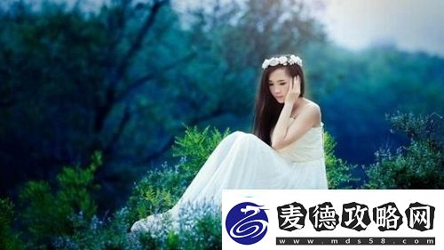 蜂直播