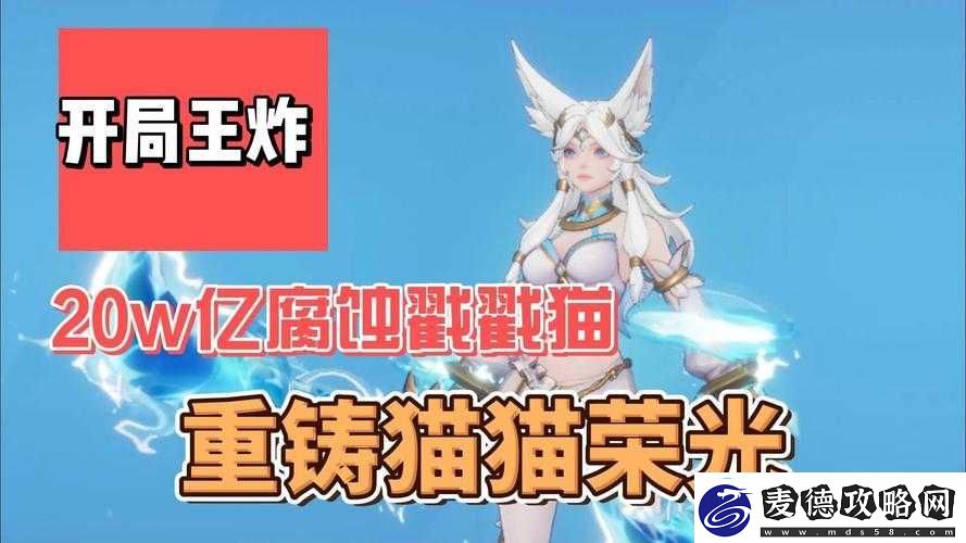 火炬之光中-无限猫女应该如何选择最佳装备搭配
