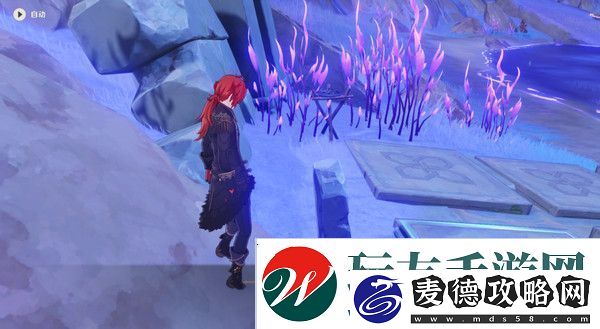 原神清籁岛石板怎么踩清籁岛石板解谜攻略
