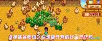 星露谷物语快速提升鸡好感度技巧-星露谷物语怎样增加鸡的亲密度