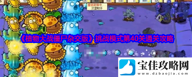 植物大战僵尸杂交版挑战模式第40关全攻略与通关技巧分享
