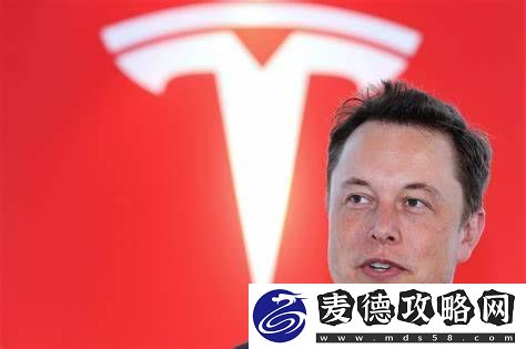 跌麻了！特斯拉股价暴跌15%-市值一夜蒸发1300亿美元