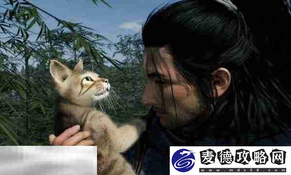 浪人崛起薄命的剑士怎么触发-任务接取位置及流程攻略