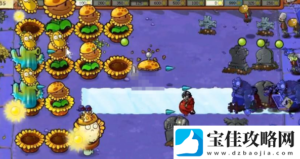 植物大战僵尸杂交版挑战模式第40关全攻略与通关技巧分享