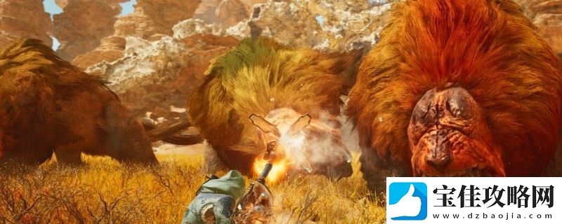 怪物猎人：荒野缠蛙信息介绍-地图成就与探索挑战攻略