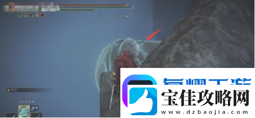 艾尔登法环魔法菈妮的暗月获得位置