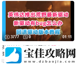 英伟达