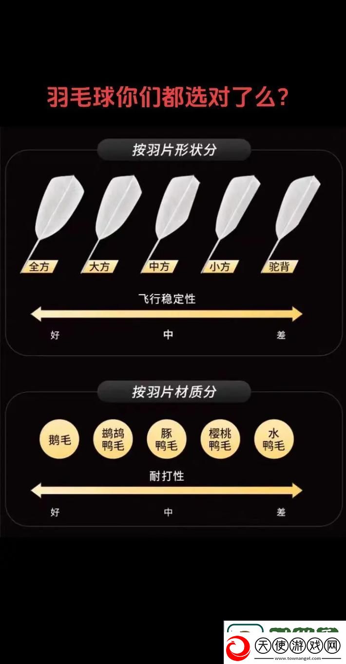 揭示AAAA级毛和AAAA的区别：品质与应用的大揭秘