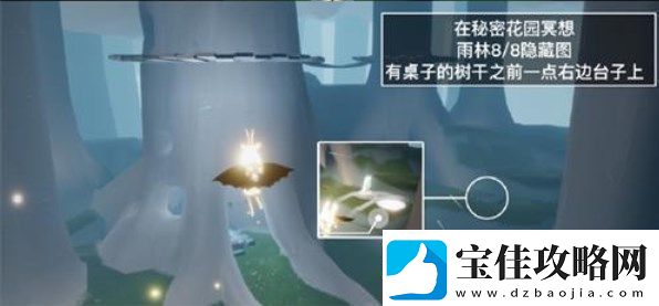 光遇秘密花园冥想在哪个图-5.24秘密花园冥想点位置攻略