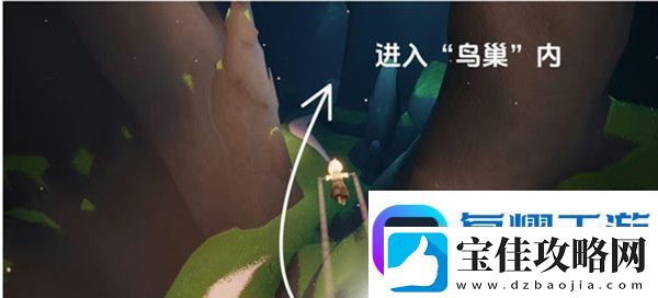 光遇夜鸟语者在哪