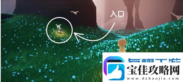 光遇夜鸟语者在哪