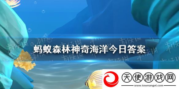 以下哪种蟹天生就是红色的-神奇海洋2月11日答案
