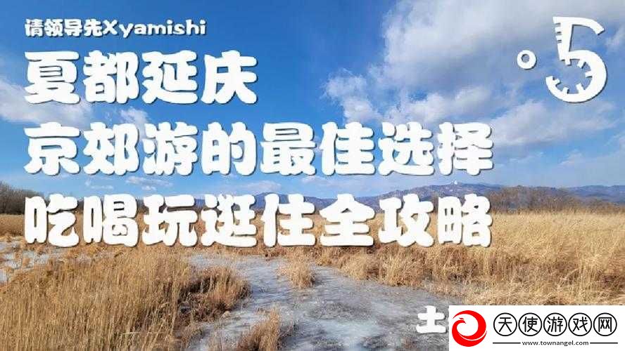 免费黄应用：畅享无尽激情与刺激的绝佳选择